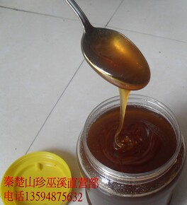 重庆巫溪土特产双阳农家自养土蜂蜜，纯天然的绿色货真价实，。