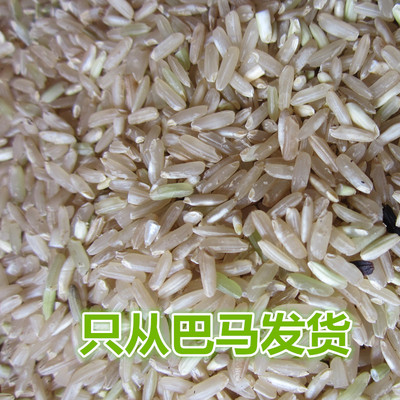 发芽糙米胚芽活米留胚米石山冷泉灌溉富含锌硒五谷粗粮能熬米油