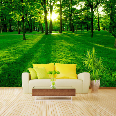 自然风景绿色森林3D大型壁画客厅沙发背景墙壁纸墙纸 清晨公园
