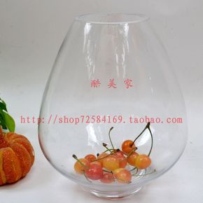 透明玻璃花瓶/大肚收口花瓶花插/鱼缸水培容器/特价