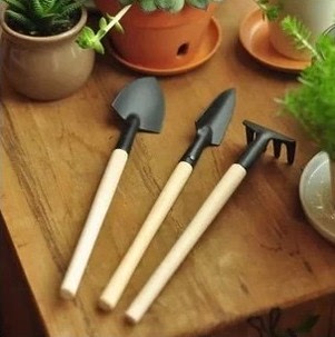 多肉植物 工具 三件套工具套餐 铲子 耙子 宽铲窄铲套装