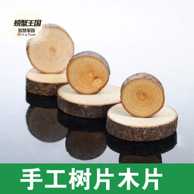 1.5-6cm木片圆形木块木桩 天然樟木片 大小随机发货 100克