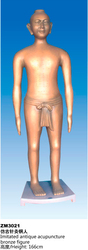 160CM仿古针灸模型/铜人针灸模型/人体医学针灸模型