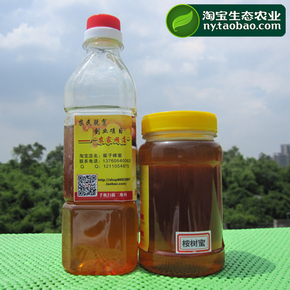 【生态农业】桉树蜜/尤加利 蜂蜜 野生土蜂蜜纯天然农家 1斤
