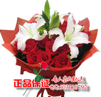 甘肃鲜花速递敦煌花店敦煌市订花专人送花品质保证红玫瑰