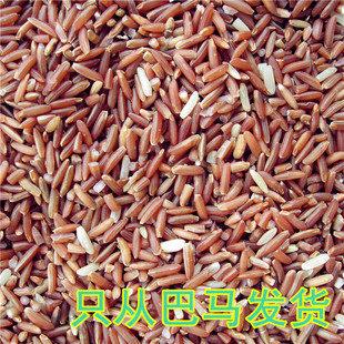 巴马特产胚芽红粘米红糙米留胚红米 石山冷泉灌溉富含锌硒