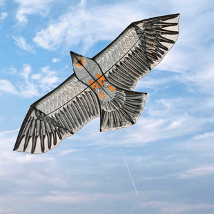 老鹰风筝大型风筝2.4米 1.8米锥形前杆树脂老鹰精品风筝传统工艺