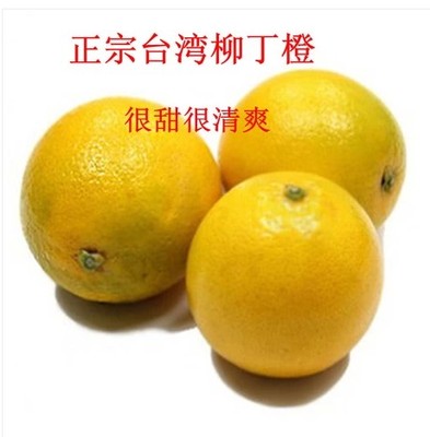 台湾进口新鲜水果 柳丁橙子滋润健胃化痰 精品10斤装特价6省包邮