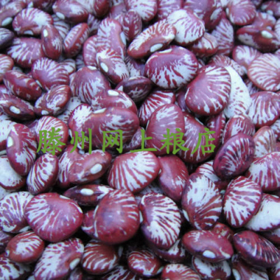 包邮农家优质花芸豆 花豇豆 奶花豆，斑马豆500g