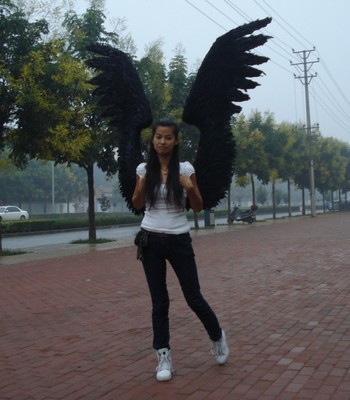 黑色羽毛翅膀天使之翼羽毛翅膀大翅膀cos天使翅膀黑色天使羽毛