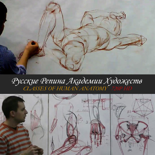 俄罗斯列宾美院内部课程高级讲师（人体结构解剖绘画 7小时）