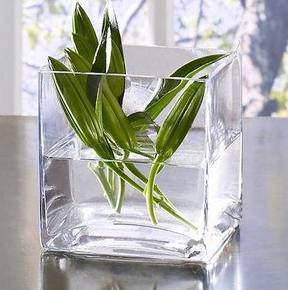 超厚实稳重方形玻璃花瓶水培容器 家居饰品 厂家直销