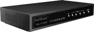 Netshare  NS-V1300G 远程异地互联必备 安全网关设备