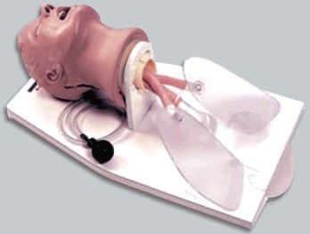 经典气管插管训练模型 气管切开模型 环甲膜穿刺模拟人 护理模型