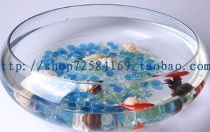 透明玻璃花瓶 圆形花盆鱼缸鱼盆 时尚家饰有大号