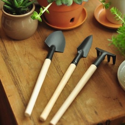园艺工具小铁铲小铁耙小铁锹三件套装 多肉植物工具家庭铲子锄头