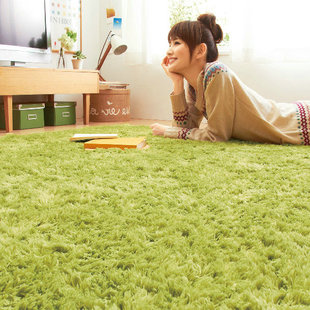 可水洗 欧式地毯 超柔丝毛地毯客厅地毯卧室地毯
