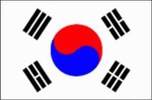 【北京旗帜厂】世界各国国旗 外国国旗 韩国国旗6号40*60需订做