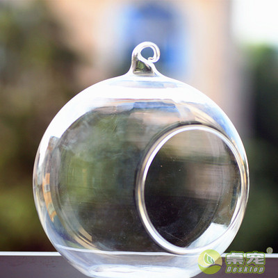 ZAKKA悬挂玻璃花瓶 苔藓瓶玻璃苔藓生态瓶透明吊瓶水培侧口花器