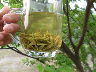 2016新茶 绿茶雨前一级茶叶 原产地茶农自产自销  莲花茶馆 包邮