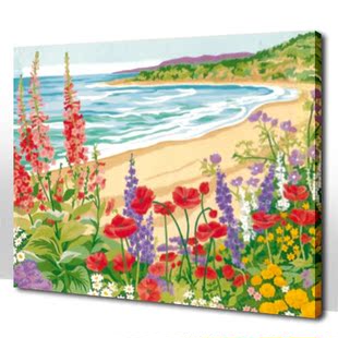 无框画  添色 diy 数字油画 风景类 普罗旺斯 40 50 野外海滩