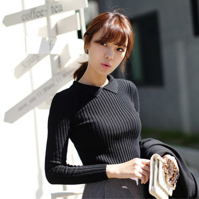 2014秋冬新款韩版女装毛衣女款针织衫黑色长袖套头翻领修身打底衫