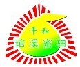 平和县腾辉蜜柚种苗