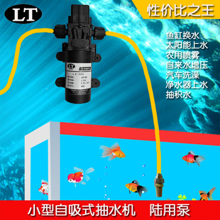 雷泰高压电动洗车水泵微型泵增压电动隔膜泵抽水泵24V/12V小水泵