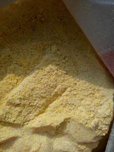 农家自产新玉米面玉米面粉绿色有机苞米面非转基因棒子面粗玉米面