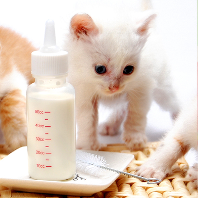 宠物奶瓶带替换奶嘴清洁刷小狗奶瓶小猫奶瓶幼犬奶瓶特价