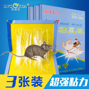 3张装绿豆芽粘鼠板超强力大老鼠贴灭鼠笼夹捕鼠驱鼠器家用老鼠板