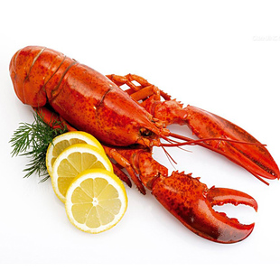 新鲜加拿大龙虾小龙虾进口大虾鲜活海鲜水产进口冷冻虾450—50