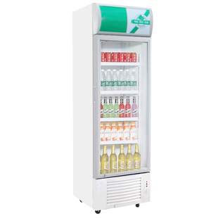冷藏展示柜 保鲜柜立式单门饮料柜玻璃门 商用冰箱冰柜LG-198