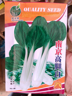 阳台盆栽蔬菜种子批发 南京高脚白 四季可种小白菜种子小汤菜菜籽