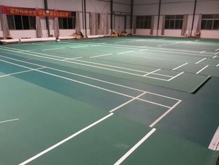 扬州地区 新动力 运动羽毛球 乒乓球 健身房地胶 PVC 水晶砂