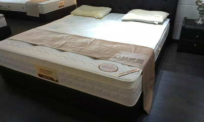 八益床垫《实体专卖--正品保障》乳胶床垫菲尼斯丹-席梦思-软