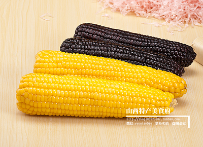 甜糯玉米黑黄玉米山西忻州特产黑玉米有机玉米穗苞米18个装整箱