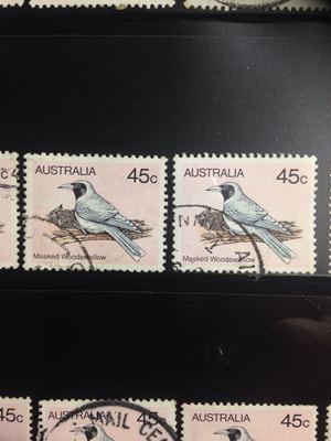 澳洲邮票1980年澳大利亚鸟类黑眼燕信銷票集邮收藏外国邮票