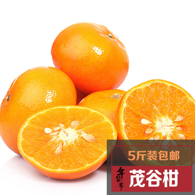 广西茂谷柑 无渣水果 维C之王橘子 新鲜蜜桔子 茂谷柑5斤装包邮