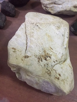 缅甸翡翠原石、赌石  老木那白岩沙春料   30公斤