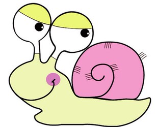 蜗牛精品大码女装