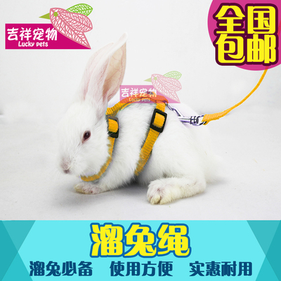 全国包邮宠物兔子用品牵引绳遛溜兔绳兔兔玩具垂耳兔牵引带绳子