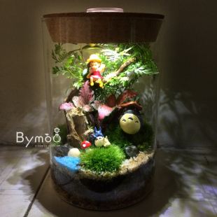 【特价】直筒玻璃瓶带灯 苔藓微景观生态瓶 创意送男女友绿盆栽