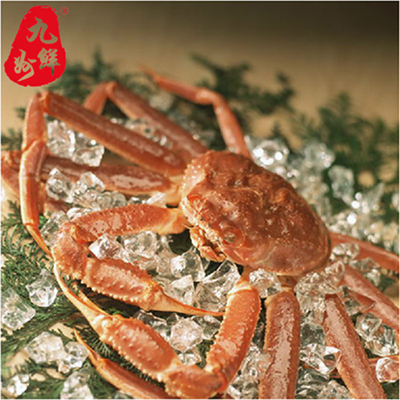海鲜鲜活螃蟹朝鲜籽蟹板蟹精挑细选只只带膏鲜嫩无比200-250g/只