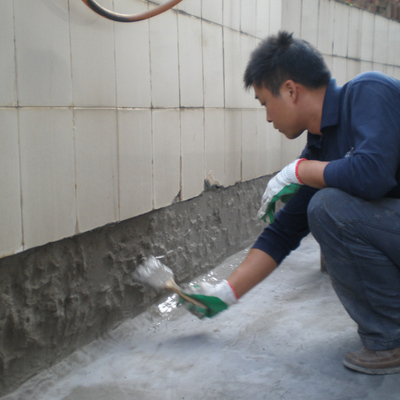 莱仕德JS防水涂料水泥基防水卫生间外墙屋顶防水材料补漏胶K11