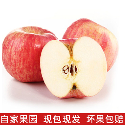 哼哼山庄 烟台红富士 新鲜水果4.5斤包邮15-18个小苹果榨果汁必备