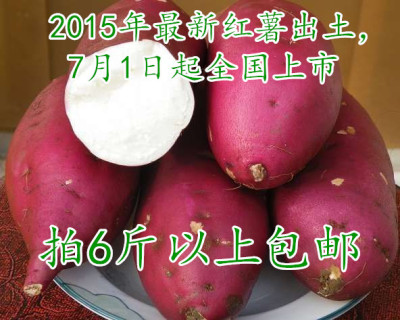 2015年新鲜高山红皮白心红薯 甜糯番薯甘薯地瓜香甜绿色山芋批发