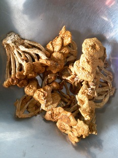淅川深山特产 特级野生食用菌滑子菇干货（珍珠菇）310克/袋包邮