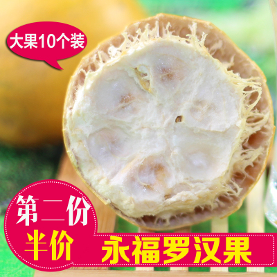 罗汉果茶 广西桂林新鲜永福特产 低温脱水罗汉果黄金果大果10个装