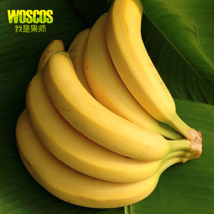 【我是果师】精选海南香蕉 水果精选 软糯香蕉5斤装 国内新鲜水果